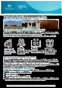 Factsheet: Beef cattle herd management projects